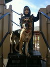 Stella (8.12)