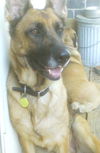RUBY
