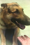 Riley