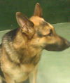Riley