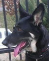 Grace (2)