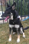 Grace (2)