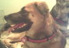 Bruce