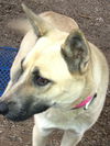 Shiloh