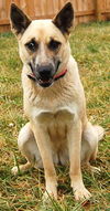 Shiloh