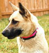 Shiloh