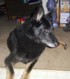 Sierra (10-13) (Courtesy List)