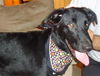 Blackie (3.14)