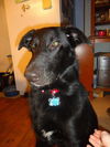Blackie (3.14)
