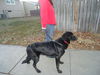 Blackie (3.14)