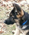 Rudy (1.14)
