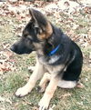 Rudy (1.14)