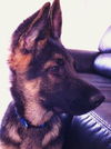 Rudy (1.14)