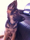 Rudy (1.14)