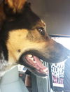 Susie Q