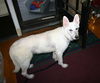 Sarge (8.14)