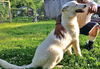 Snowball  (6.14)