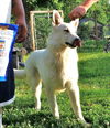 Snowball  (6.14)