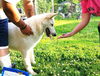 Snowball  (6.14)