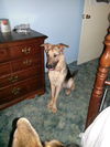 Riley (9-14)