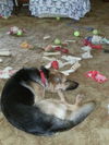 Riley (9-14)