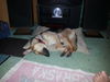 Riley (9-14)
