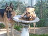 Riley (9-14)