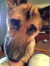 Rudy