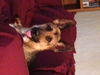 Rudy