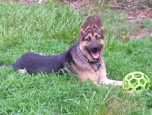 Shiloh