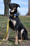 Rocky (1.15)