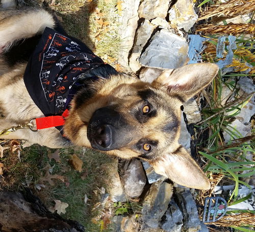 Shay (in 10.2015)