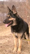 Zoe (i1.16)