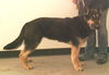 Zoe (i1.16)