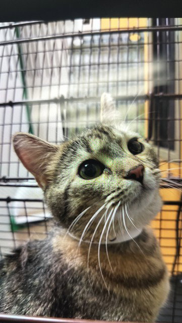 SABRINA