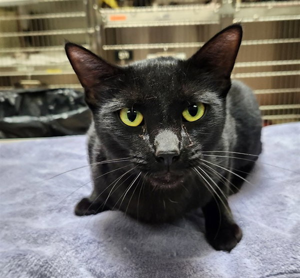 SALEM