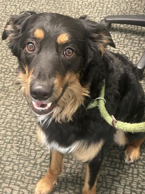 Benny