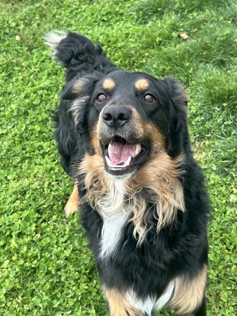 Benny