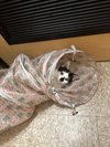 Princess - Photo 4