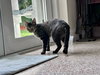 Lucy - Photo 3