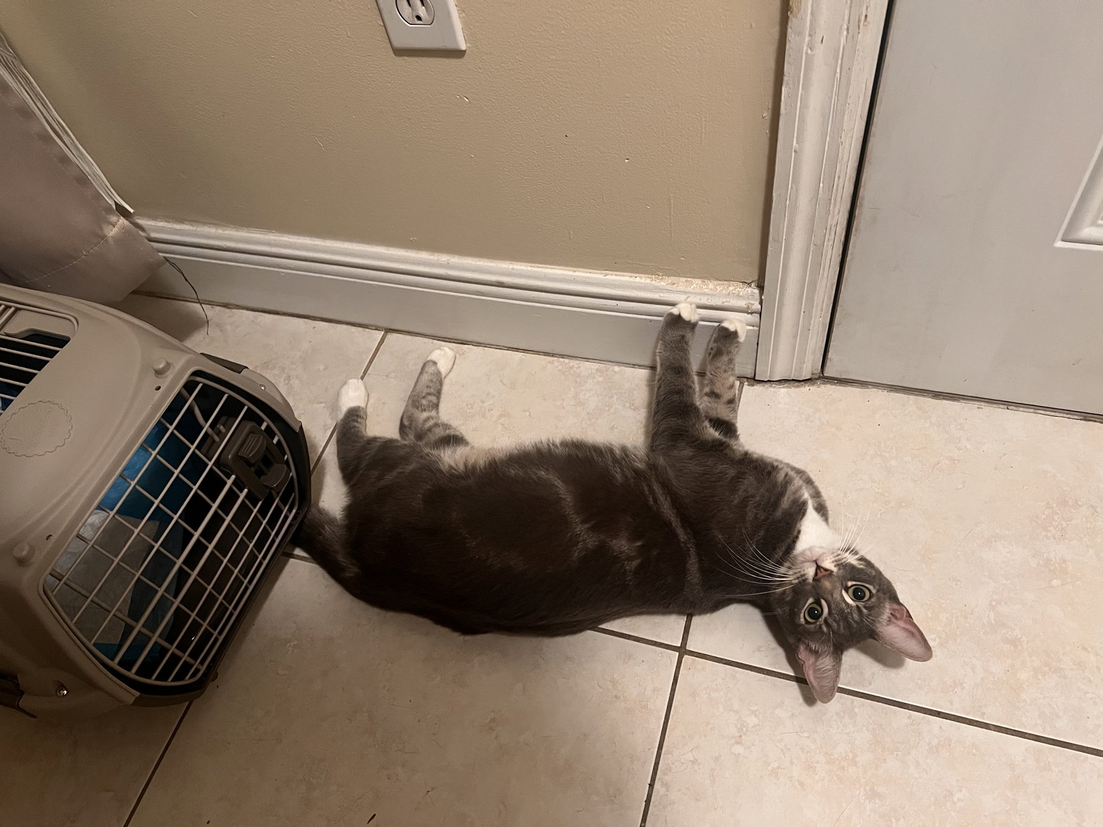 Tom