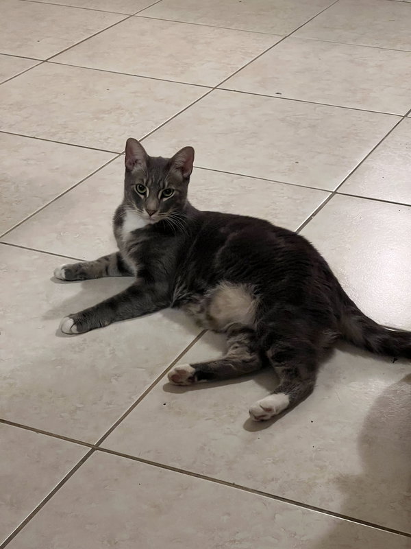Tom