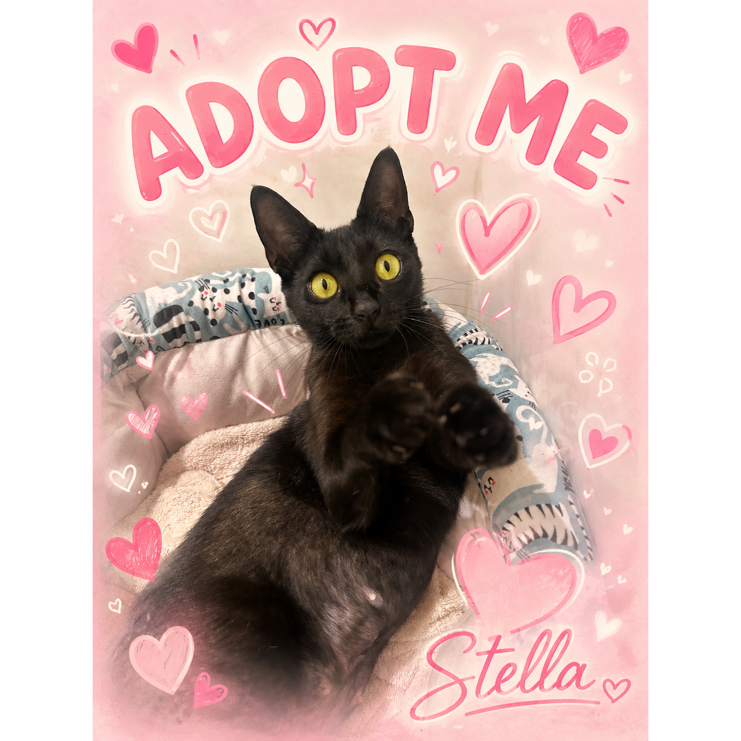 Stella