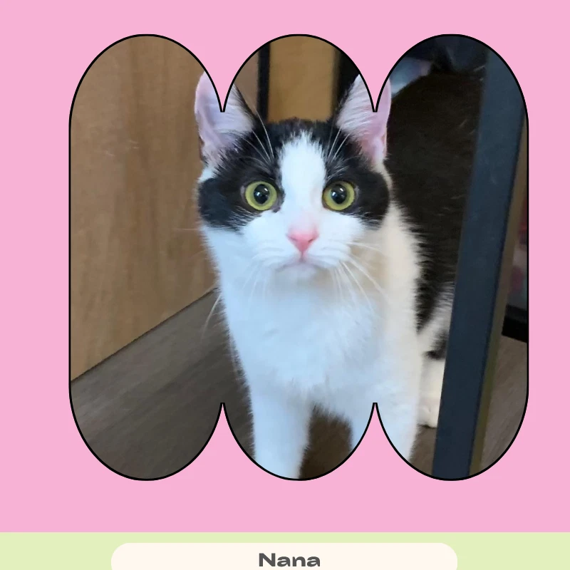 Nana