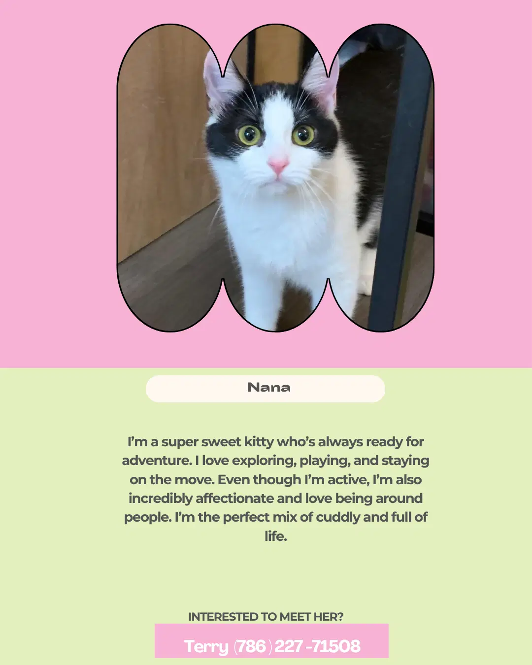 Nana image 2