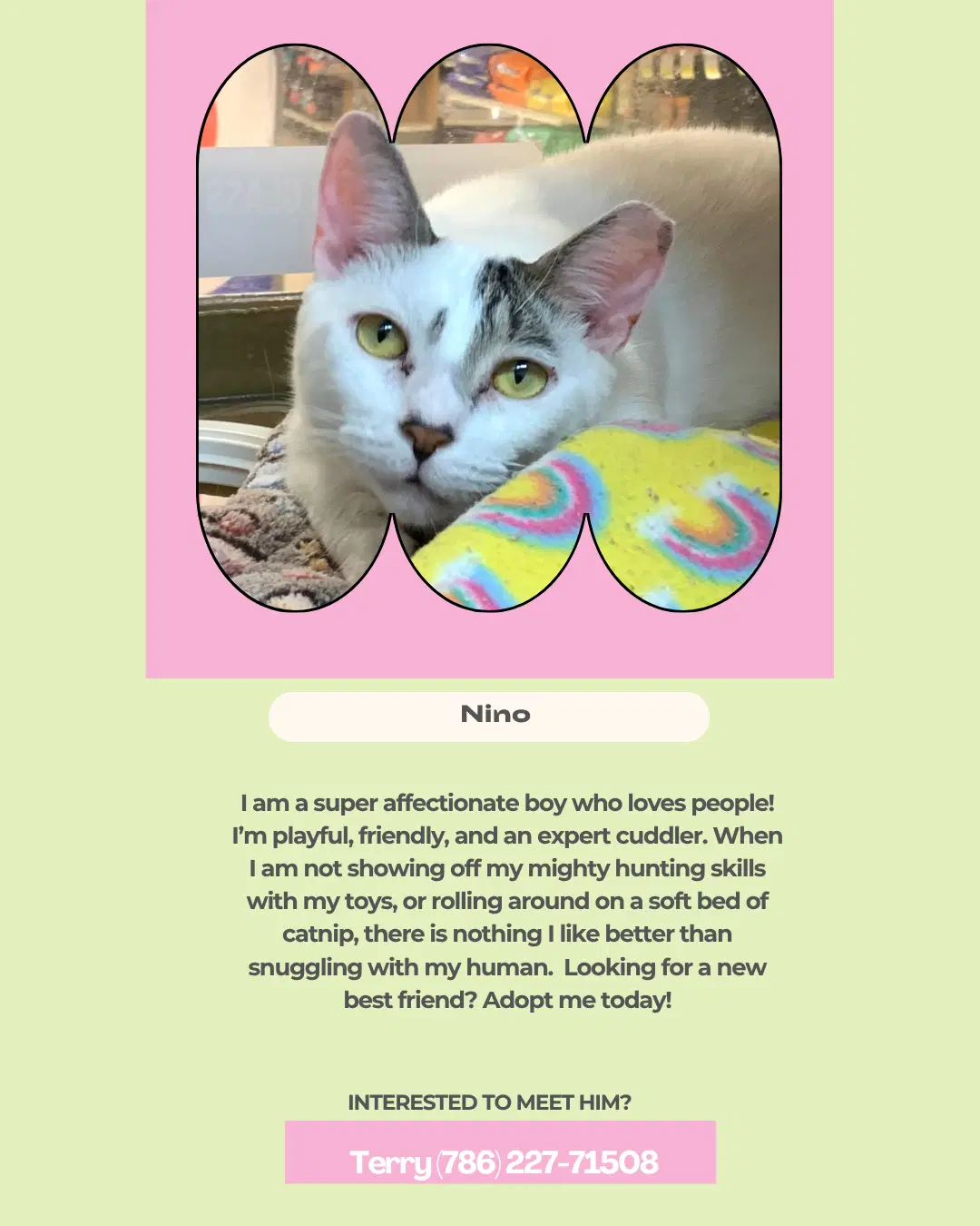 Nino image 2