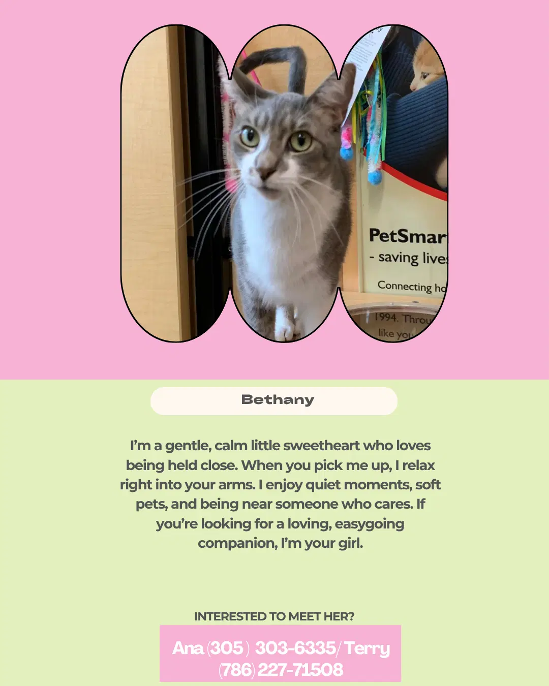 Bethany image 2