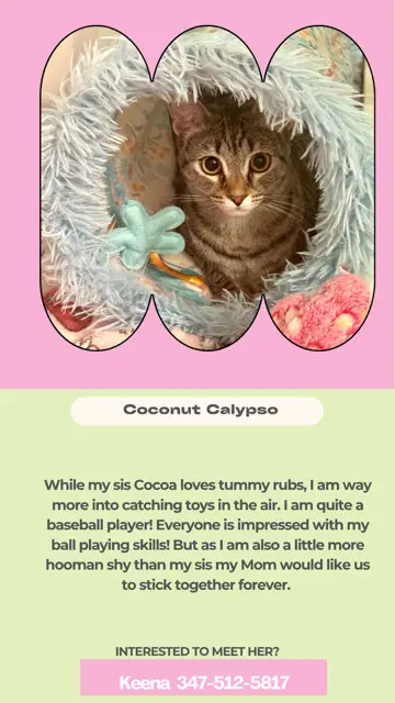 Coconut Calypso image 2