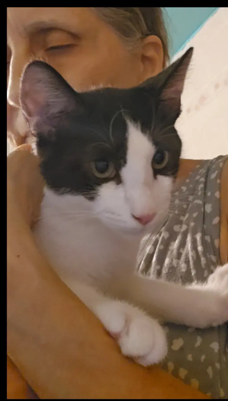 Pouncey image 3