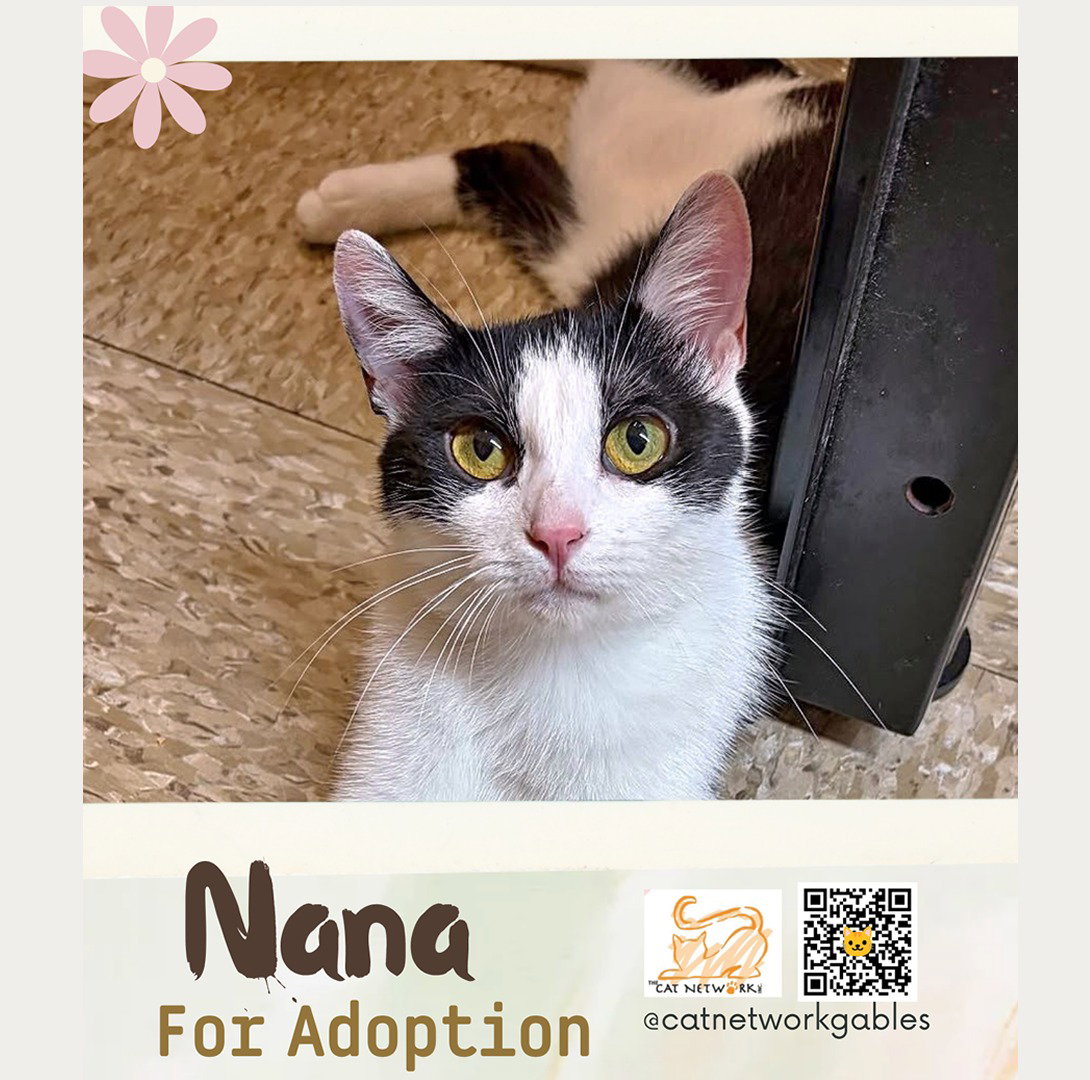 Nana, photo 2